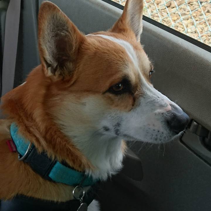 9abbd71f 1874 46d4 99d3 479d426d59bd 1652255363472