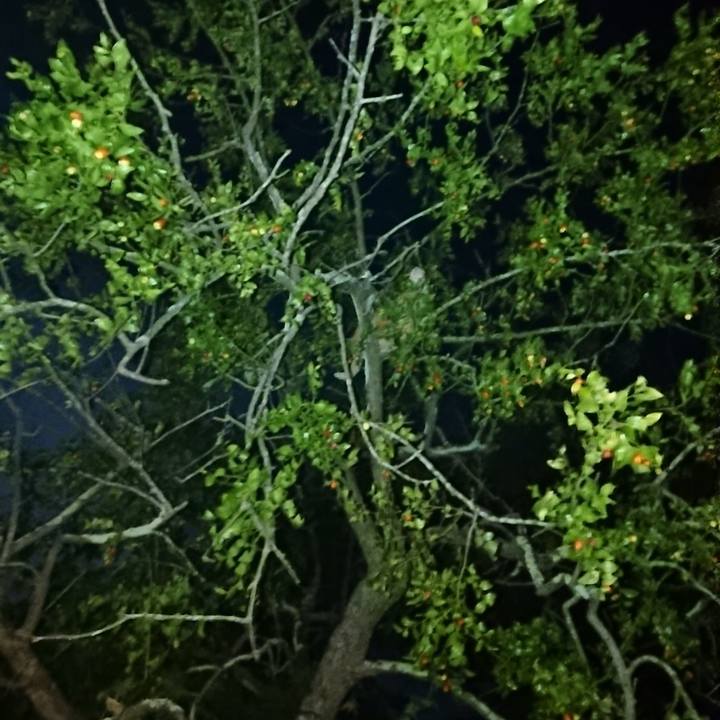 9abbf659 2922 47ea 97ef 864456edb953 1601460475942