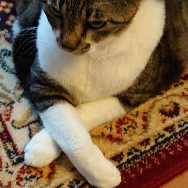 9abc234e f719 4fcb b940 3c6aa2e97a89 1676088328436