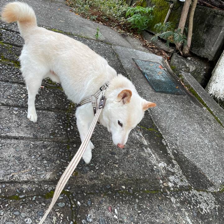 9abc6d1e a4b7 457f b2c0 28a206f28cb0 1633989002076