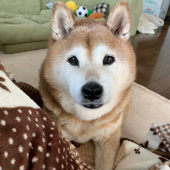 9abca3fb 7ccc 49fb 8062 aeac8b17c66d 1578024561871