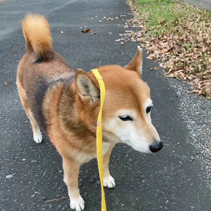 9abcab1c fed3 4106 a900 6f514e60a85a 1640938184009