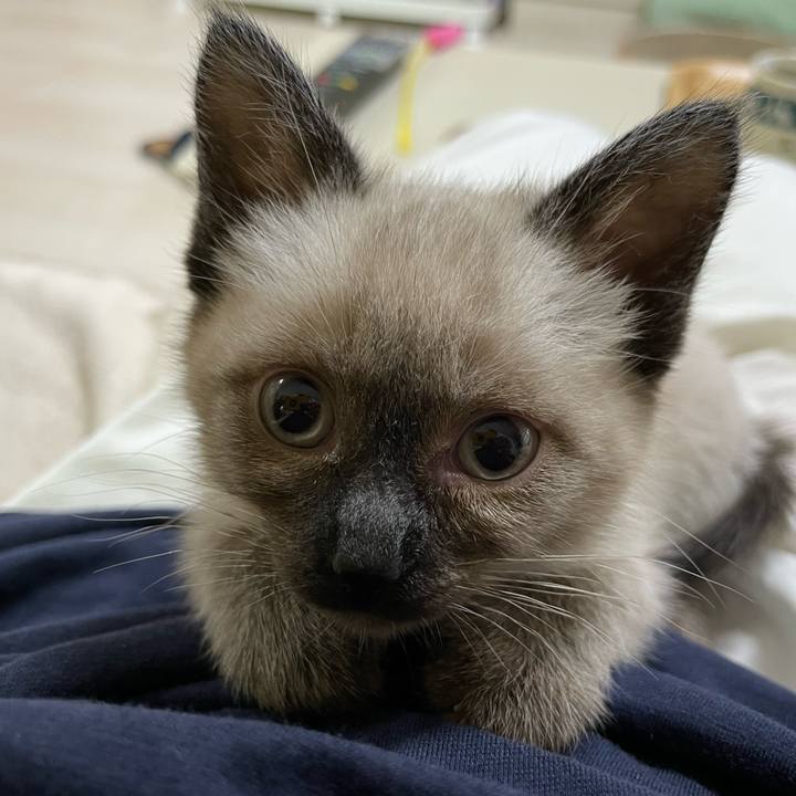 9abcbbf8 1a64 4971 b428 9dba715d7a44 1687463251876