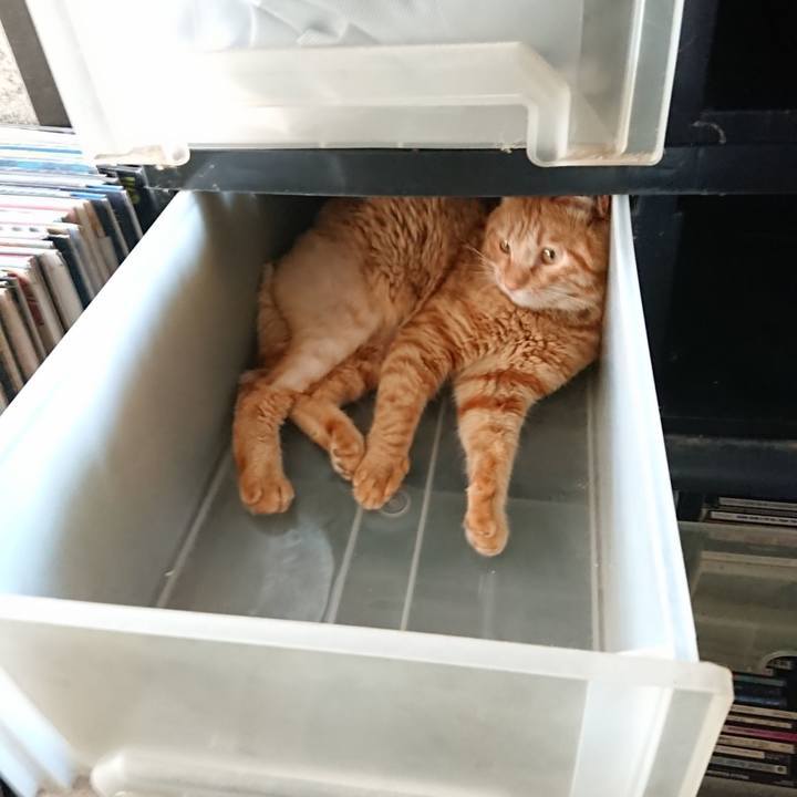 9abcd3da eb35 497e 8c92 7578fd12436d 1655623641098