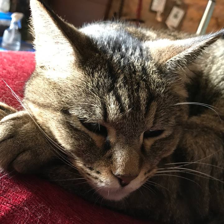 9abcdf88 3156 4028 972b 2e79df52ec6b 1519268180985