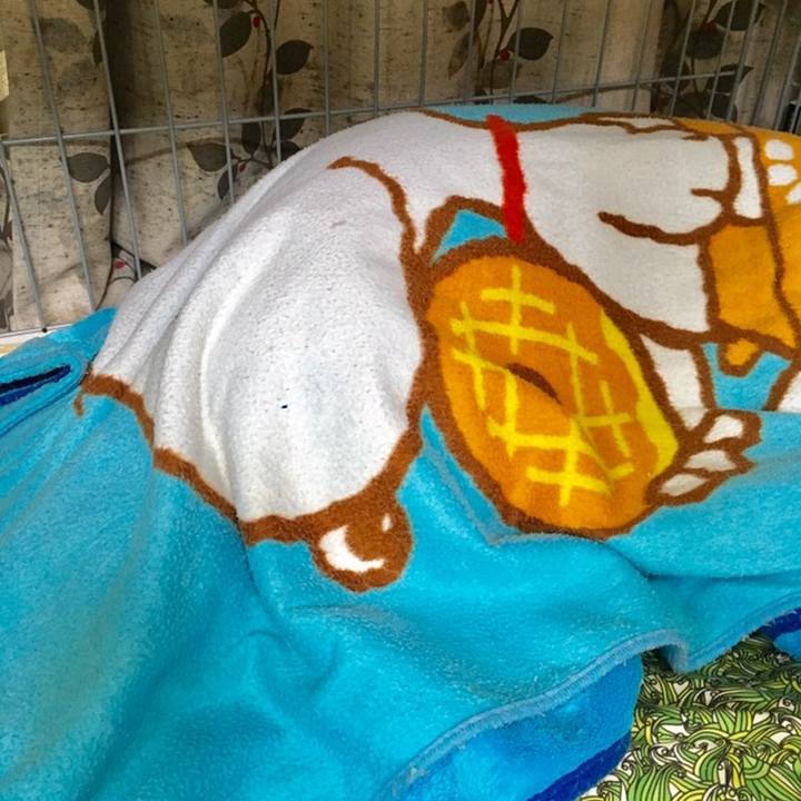 9abcfcab f54a 4710 8512 a0518983bcf0 1560225205402