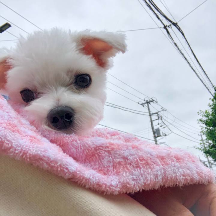 9abd0c14 b42d 4dd0 a9cb f333868828fc 1562551897019