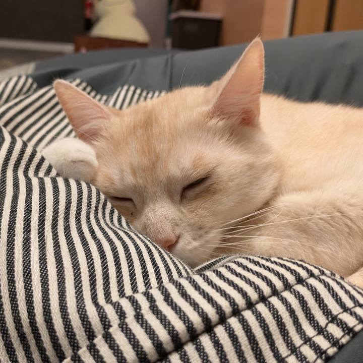 9abd282a 1034 48a2 a0f9 2ef4ea6cc8c0 1725358439311