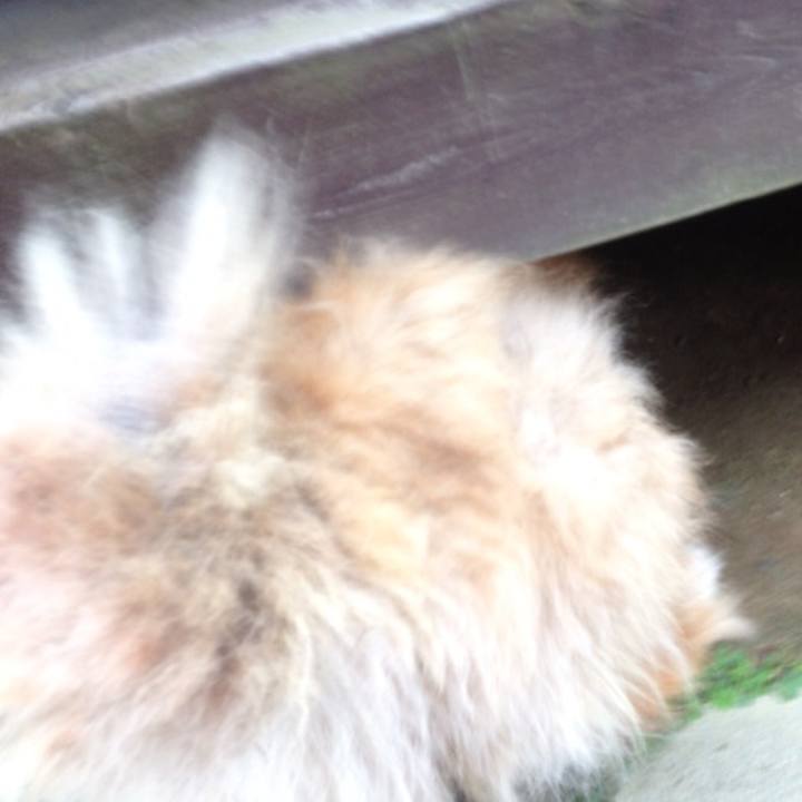 9abd5198 5ef7 45f8 8274 d1e914f70d81 1557533512619