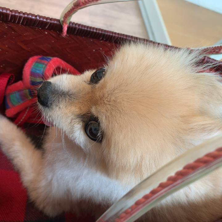 9abd5ea7 8be0 4928 969a 3f6922460791 1659234615785