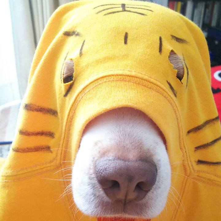 9abdd7db 2e40 430a b1c0 7a8b4f4d1836 1640964514302