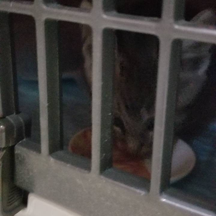 9abde546 51fe 4d55 91c2 9cdad20f7c69 1691681413688