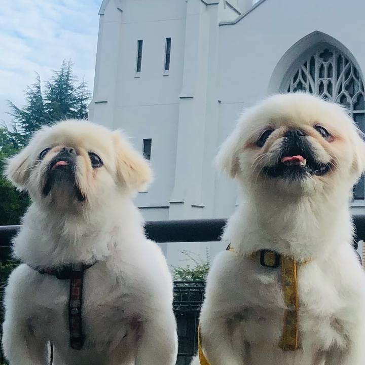 9abdea5f 1e02 4641 b605 64d9670376f9 1631059965179