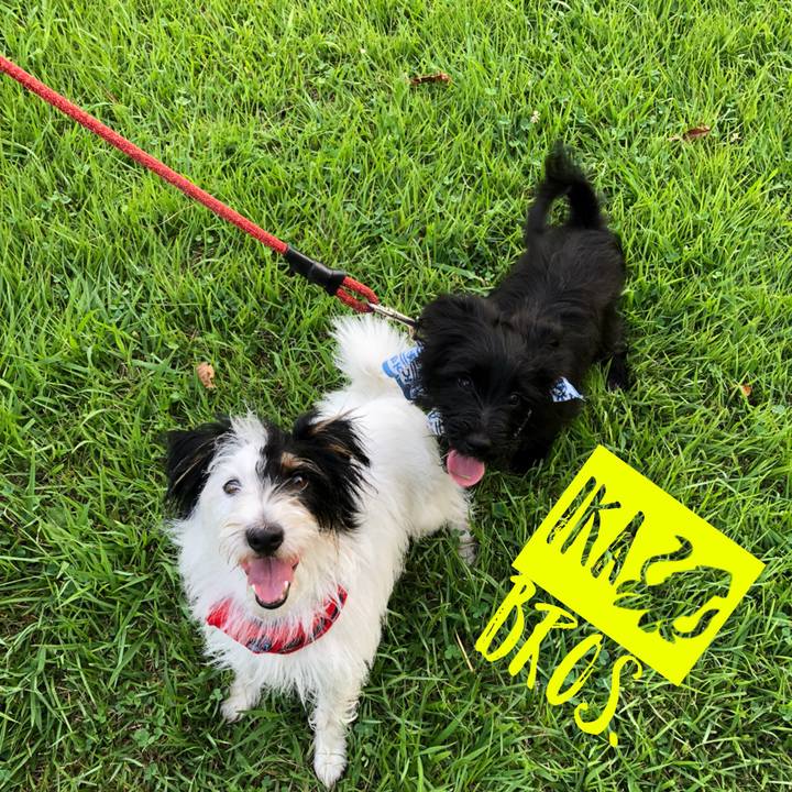 9abdf74c cec5 4e87 b46f 41cc008d3791 1533856050245