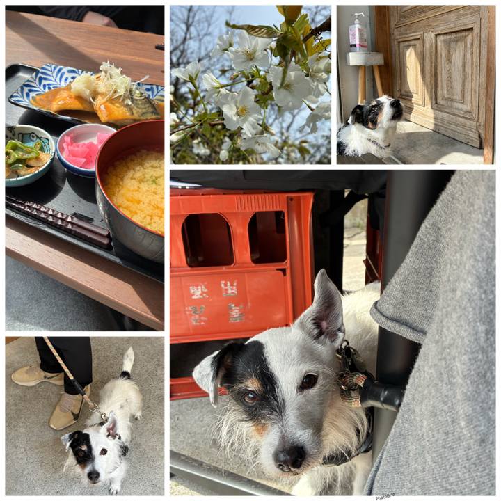 9abe2c50 0620 4ed4 9ccc 75263dc7ab3a 1774155831096