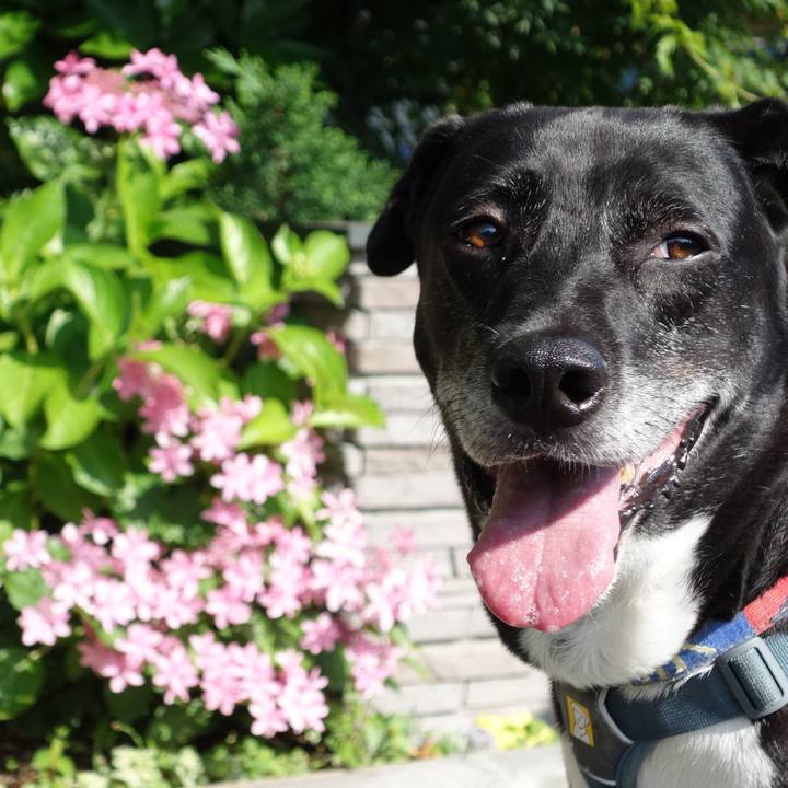 9abe9423 2347 480c b023 72a8e6f16bb4 1718066291478