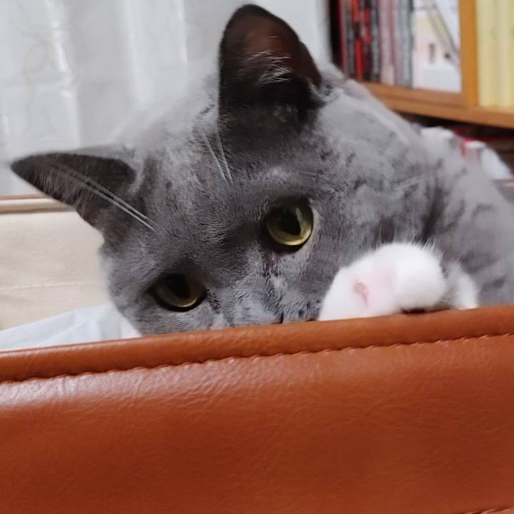 9abea3b0 d1db 49c9 81ad 0ce05624be02 1631354764925