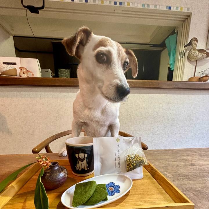 9abea5ea fc2a 48b0 83c5 214061aec221 1760611869014