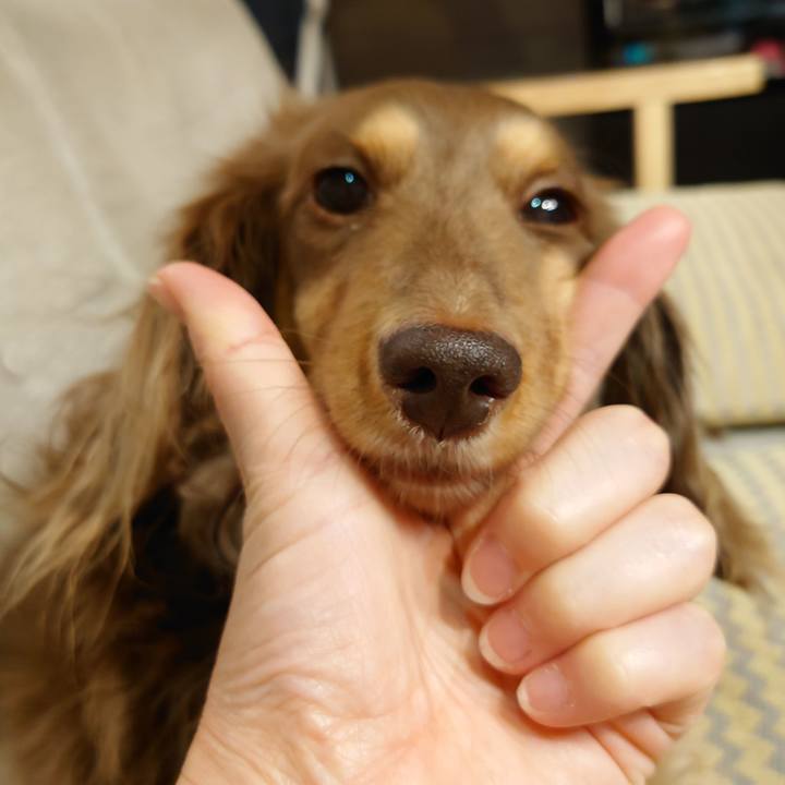 9abeb803 9b69 4622 88c8 8a746b37d936 1656413240535