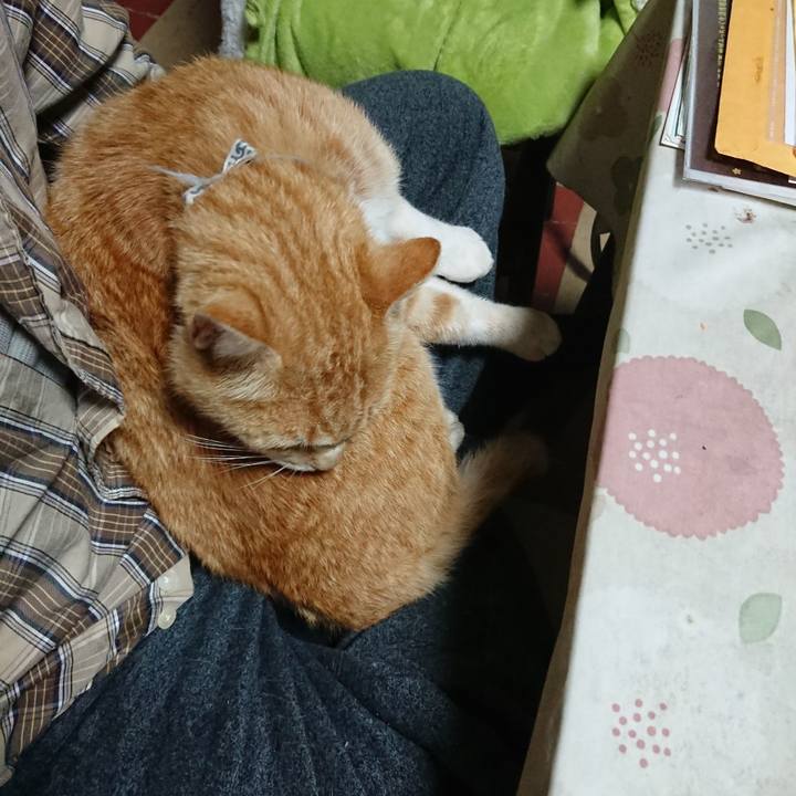 9abed6df 78c3 4fbf 9fe3 db90545a85e7 1589069265588