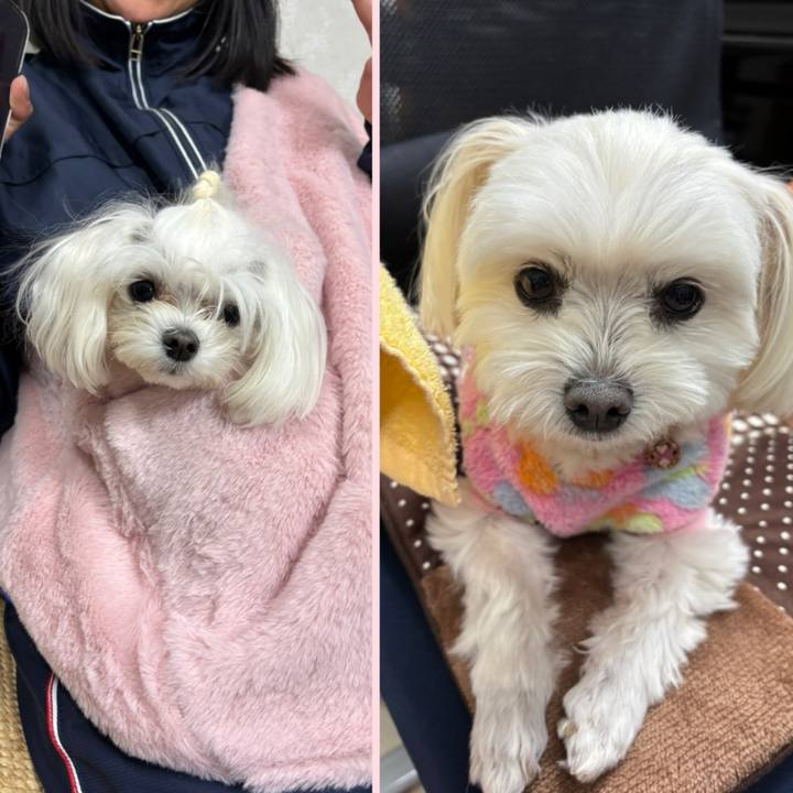 9abedc7b 69e1 426b b56a fe67cce29b04 1736421021566