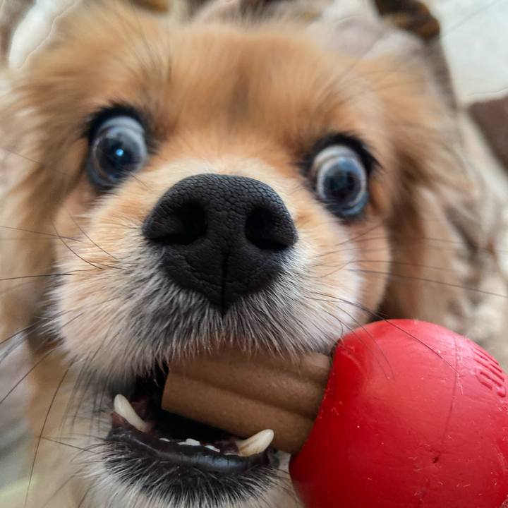 9abefdae 71bb 418c bc27 48d6da76bc55 1577577692625