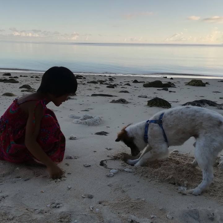 9abf57f2 4dd3 4e48 bfdf 415450db2eb9 1536024929418