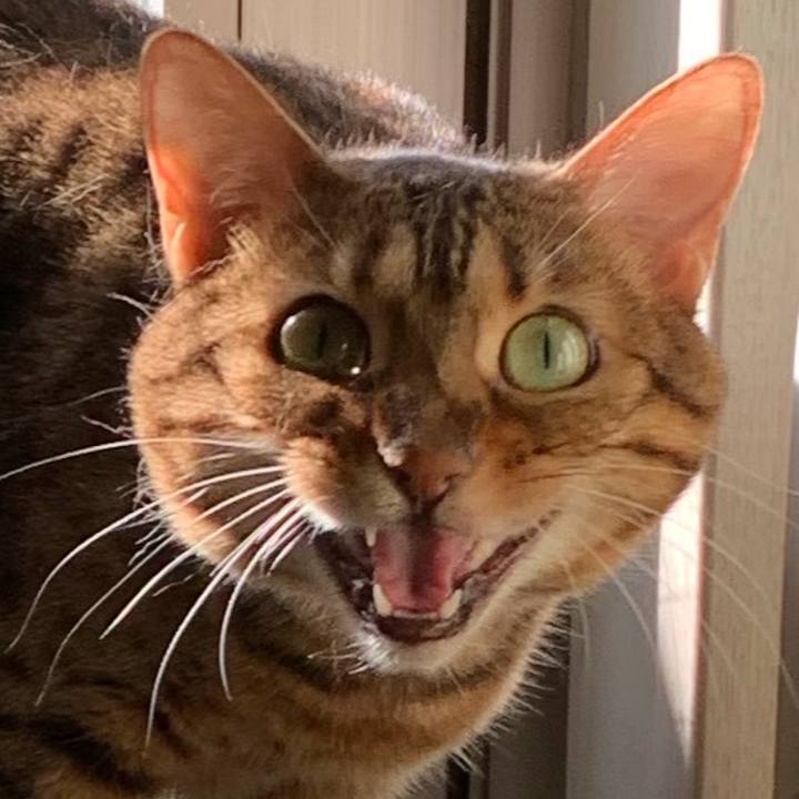 9abf5856 db6e 498e 9b71 2f6543a38476 1560905313350