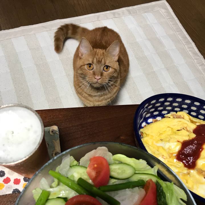 9abf74e3 a5e4 43f2 a2b7 a59733593d46 1528459189358