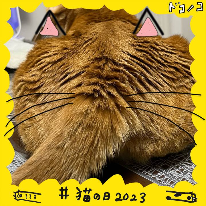 9abf80ac 0064 4f68 866b 8f64cc5c92f8 1677019456100