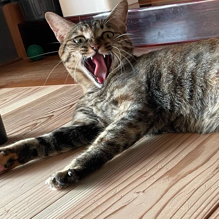 9abf8a3f 2401 4116 93d4 ca0cff24fb71 1758241125205