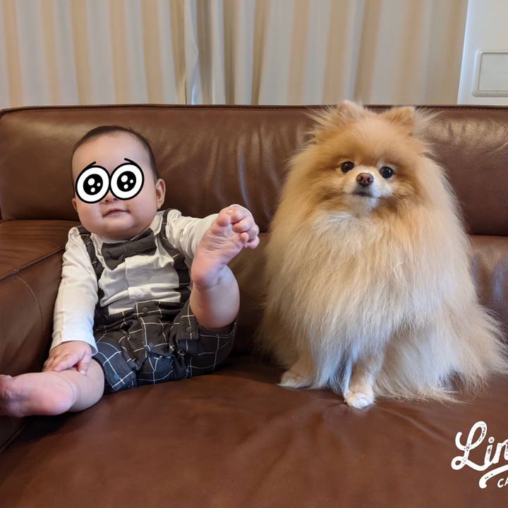 9abf8b66 67da 42cb 960f 17e156c4d1aa 1632726557008