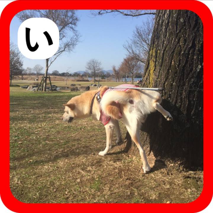 9abfaea6 db41 4217 99e5 6edb87441f54 1514881159383