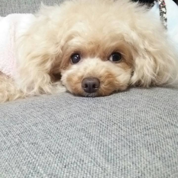 9abfbe8b dc64 4ed4 93bf 171250c591fb 1550233329709