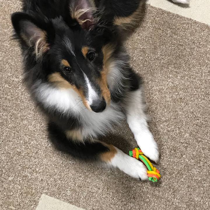 9ac014f4 a2ba 4c2e 9d18 2d7f3420ec64 1516226788420