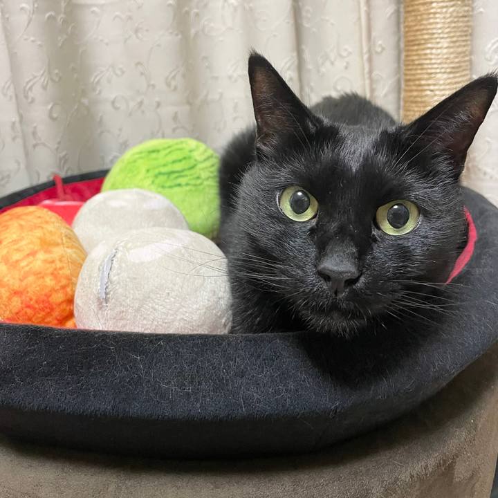 9ac03bcb 696c 4bdc b036 19c30c9bd13d 1646398384702