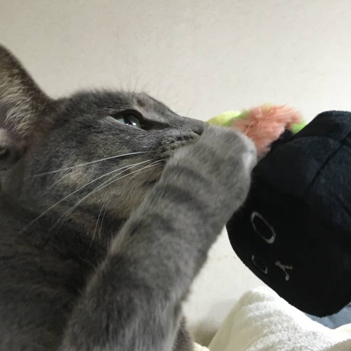 9ac04184 3e5f 4d36 832c 1f9411dc3f51 1570321751015