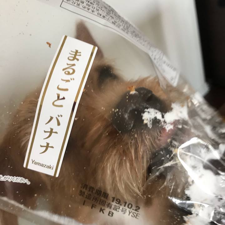 9ac04213 90fd 4c9f ae5d d5071f4dfadf 1569994027257