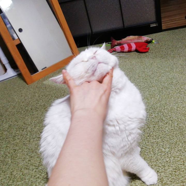 9ac06500 cb53 4af2 be04 38b5a34fc1ea 1682246345285