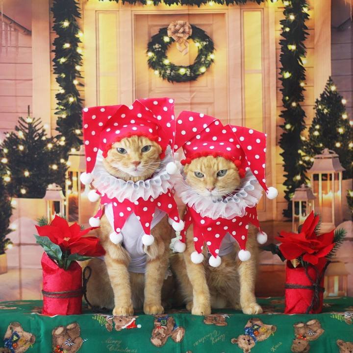 9ac06667 769e 4691 81c6 58b548565dc9 1701658582369