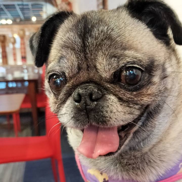 9ac0b268 3342 4a85 b6c4 45c29abe1b20 1761735521665