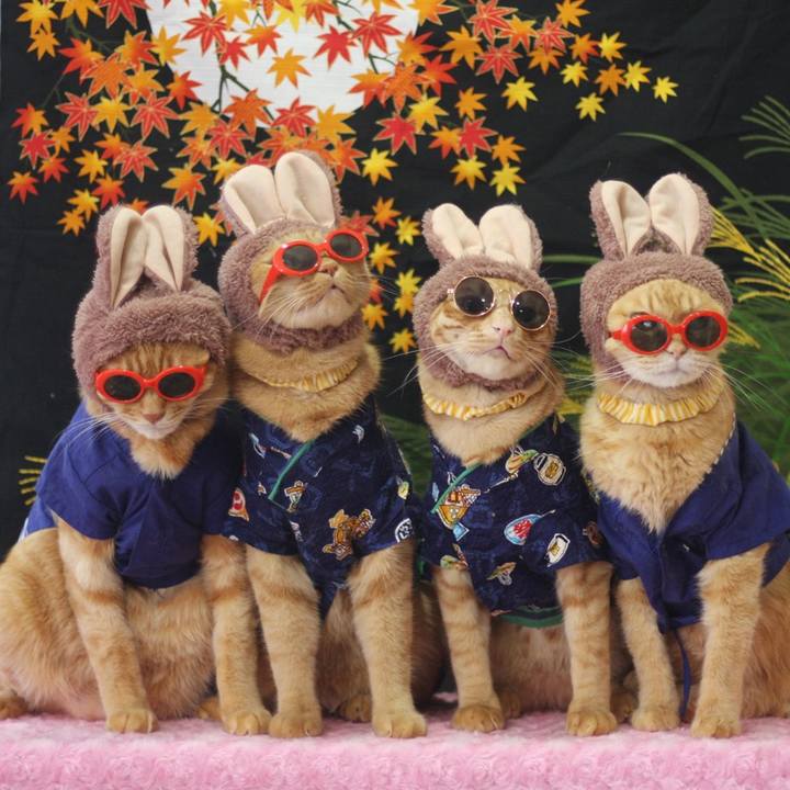 9ac0d4e8 70ec 4a29 9f80 eea48217349a 1694232338151