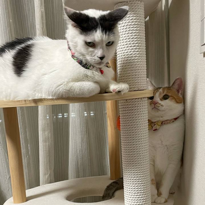 9ac0d7b2 4171 4aa7 9873 571950f8edfe 1634392743534