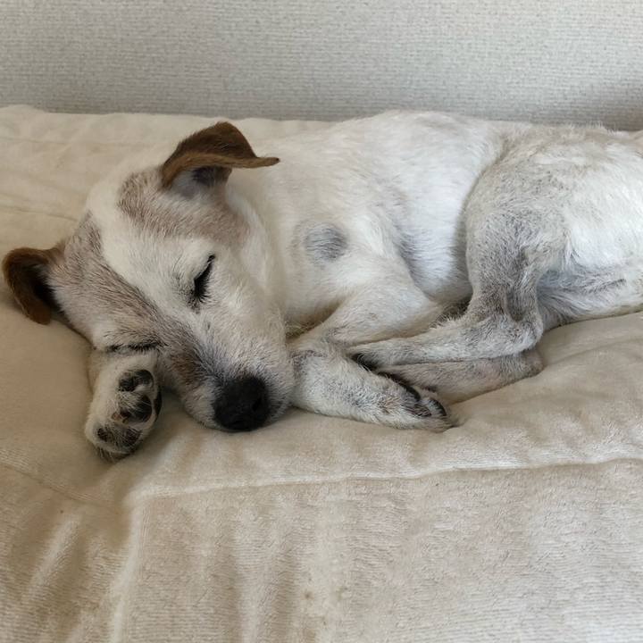 9ac145e5 5973 4837 8ddb 11a0261c6122 1622291940258