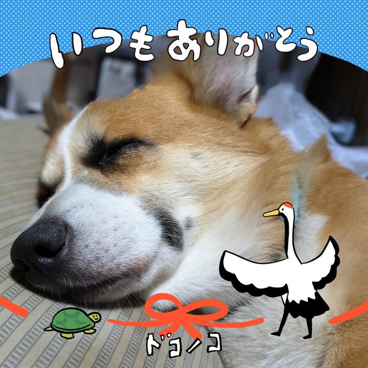 9ac19102 d975 4491 b0d4 9efb77e735f3 1726977020026