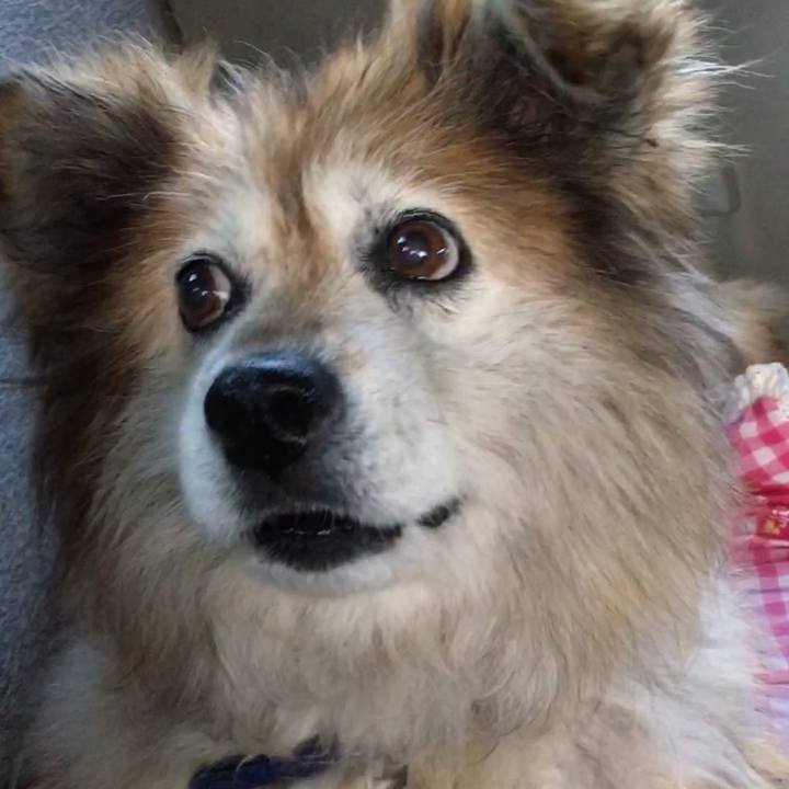 9ac1a5e5 5708 49b6 87b3 01de5a8e15a0 1555383251869