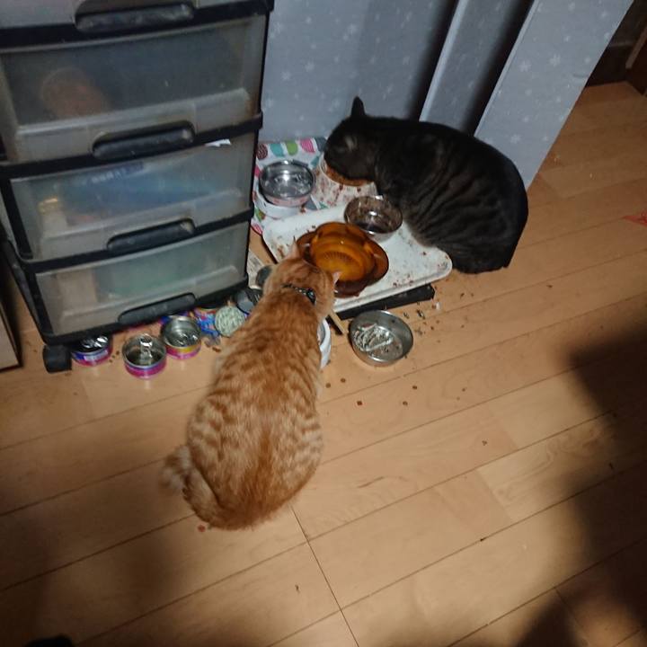 9ac1b6e3 d6d8 4d9c a9e4 f3f83b7464d4 1643578481130