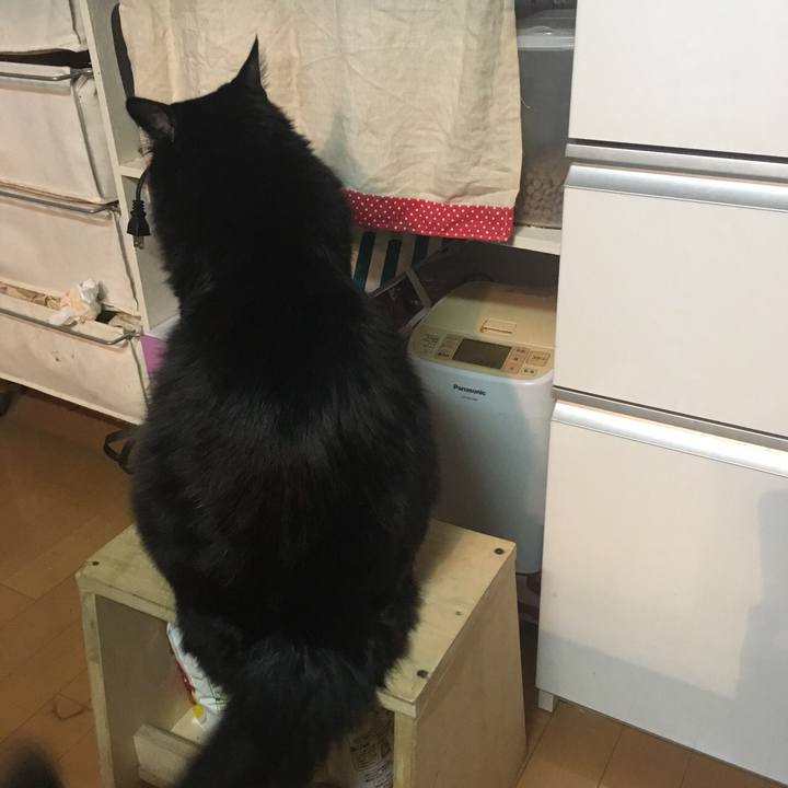 9ac21205 6366 4293 9d1e a3de85d17e52 1518323207339