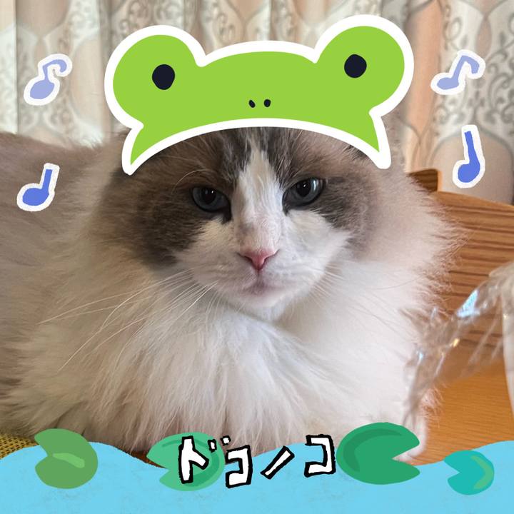 9ac2259b 2556 486f 812f ea10b24e179f 1718351230636