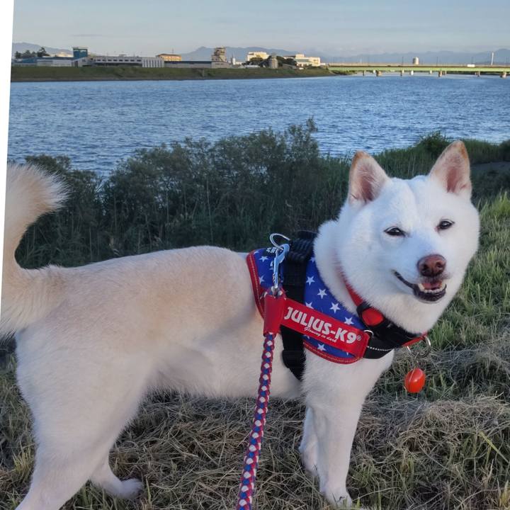 9ac22742 b79f 4b68 bc19 4232da95381e 1661678841642